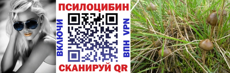 Галлюциногенные грибы ЛСД  Переславль-Залесский 